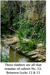 Timber remains of Culvert No. 53